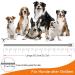 DEWEL Tick Collar for Dogs - Adjustable 63.5cm Waterproof Flea & Tick Protection - Buy Online on SooperMarket.com
