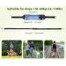 Pecute Jogging Line for Dogs - Elastic Running Leash with Belly Belt for Large & Medium Dogs - Durable Comfortable Up to 100kg - Perfect for Jogging & Outdoor Adventures - Buy Online on SooperMarket.com