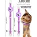 Shop Airtag Cat Neck Band | Reflective Kitten Collar with Holder & Bell | Light Tracker for Young Cats - Purple - Buy Online on SooperMarket.com