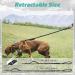 rabbitgoo Bungee Dog Leads for Medium Large Dogs Anti Pull Tactical Lead Rope with 2 Padded Traffic Control Handles for Military Dog Training and Walking Quick Lock Release Black 95-125cm 95-125 cm (Pack of 1) Black - Buy Online on SooperMarket.com