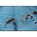 SC SPORTCOUNT LapCounter & Timer - Waterproof Stopwatch for Triathletes - Track Laps & Stay Focused - Buy Online on SooperMarket.com