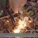 CrocSee Survival Wick Hemp Cord Tinder Kit with Waterproof Aluminum Bellows Tube Sleeve - Fire Starting Essentials - Buy Online on SooperMarket.com