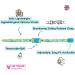 Kittyrama Botanical Collars for Cats & Kittens - Award-Winning Hypoallergenic Soft & Comfortable Veterinarian Approved Breakaway Design - Buy Online on SooperMarket.com