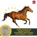 Buy Emma Linseed Oil for Horses & Pets - Cold-Pressed Omega 3 & 6 Fatty Acids for Shiny Fur & Digestion | 2x1L - Ideal for Dogs & Cats - Buy Online on SooperMarket.com