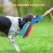 Tekcam 2 Pack Dog Tug Toys - Squeaky Agility Rope Toys for Small & Medium Dogs | Interactive Outdoor Fun - Buy Online on SooperMarket.com