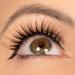 Shop Tori Belle Limited Edition Icicle Magnetude Magnetic Eyelashes - Stronger Magnets & Anchors for Ultimate Hold | International Shipping Available - Buy Online on SooperMarket.com