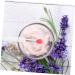 Healeved 6pcs Lip Brush Lip Balm Brush Lipstick Brush Makeup Lipstick Applicator Eyeshadow Applicator Lip Balm Applicator Silicone Lip Mask Brush Eyeshadow Makeup Brush Lip Makeup Pen - Buy Online on SooperMarket.com