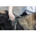 Trixie De-Matting Dog Comb With Bent Teeth 18 cm Black/Turquoise - Buy Online on SooperMarket.com