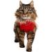 MPS Medical Pet Shirt Cat Surgery Recovery Suit Red X-Small - Buy Online on SooperMarket.com