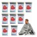 Baij rescue ceilings 9 pieces Multifunctional rescue film thermal blankets protective blankets for emergency survival first aid kit outdoor camping hiking safety ceiling emergency ceiling emergency film silver 9 pcs