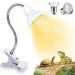 Shengruili turtle heat lamp 25W 50W heat lamp turtles reptiles lamp terrarium heat lamp for turtles terrarium reptiles terrarium heat lamp C-white