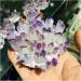 Natural Crystal Cluster Amethyst Specimen Ore Purple Reiki Stone Raw Crystal Home Decor Decoration Gift (Size : 500-600) - Buy Online on SooperMarket.com