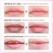 Nourshing Berry Lip Mask Lip Sleeping Mask Strawberry Lip Balm for Fades Lip Lines Overnight Lip Care Lip Balms for Dry Chapped Peeling Cracked Lips Dark Lips Care 20g Berry 20g - Buy Online on SooperMarket.com