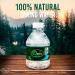 Dean Products Spring Water Bottles 24 Pack - Bottled Spring Water - Small 8 oz Mini Bottles - Bulk Pack - Buy Online on SooperMarket.com