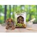 AOZA BIRJU MAHAVIR Sabut Reetha - Soap Nuts Natural 900 Gram (BMKB-208) - Buy Online on SooperMarket.com