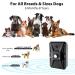 Queenmew Anti Bell Device for Dogs - 3 Modes Ultrasound Bark Control 33ft Range IPX4 Waterproof - Effective Training for Large & Small Dogs Indoors & Outdoors - Buy Online on SooperMarket.com