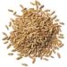 Organic Kamut Grain 1kg (BWFO) - Buy Online on SooperMarket.com