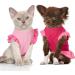 Pet Princess Dress Shirt - 4-Piece Cute Dog Sundress Set for Small Dogs & Cats - Summer Apparel with Ruffles - Puppy Skirt Shirt - Buy Online on SooperMarket.com