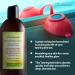 Natural Sun Tan Body Lotion 8 Oz | Long-Lasting Tan Moisturizer | Just Nutritive - Buy Online on SooperMarket.com