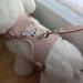 3-Piece Adjustable Rabbit & Cat Leash Set - 120cm Harness for Dwarf Rabbits & Cats (3-6kg) - Perfect Cat Dishes Included - International Shipping Available - Buy Online on SooperMarket.com