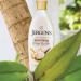 Jergens Shea Butter Lotion 8 oz - Deep Moisturizing & Nourishing Skin Care | International Shipping Available - Buy Online on SooperMarket.com