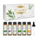 EUQEE Essential Oils Set Therapeutic Grade Pure Oil for Diffuser Home Classic Aromatherapy - Lavender Eucalyptus Peppermint Tea Tree Sweet Orange Lemongrass 6 x 10ml White