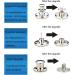 12 Pcs ICEYLI 17mm Metal Jeans Buttons Replacement Kit - No-Sew, Removable, Repair Combo - Buy Online on SooperMarket.com