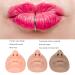 Realistic 3D Silicone Nose Mouth Model for Display - Flexible Acupuncture & Piercing Practice | Reusable 3 Colors Available - Buy Online on SooperMarket.com