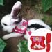 Fdit Small Animals Harness and Leash Set Soft Harness with Lead for Rabbits Bunny Rabbits Adjustable Harness (S) - Buy Online on SooperMarket.com