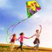 HENGDA KITE Prism Dinosaur Park & Diamond Kite Set - Easy-to-Fly for Kids & Adults - Excellent Fabric - Two Sets in Individual Packaging - Accessories Included (23x27in) - Buy Online on SooperMarket.com