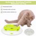 Pettom Interactive Cat Toy | Electric Butterfly Funny Exercise Toy for Kittens | Rotating Pop N Play Toy with Replacement Feathers | Green - Buy Online on SooperMarket.com