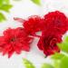 Bofunx 4-Piece Red Flower Hair Clip Set - Elegant Hair Jewelry for Party Wedding Halloween & Masquerade - Stylish Hair Clamps - Buy Online on SooperMarket.com