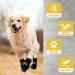 2 Pairs Anti Slip Dog Socks Paws Stop Licking Dog Cat Paw Protectors with Waterproof Rubber Bottom and Adjustable Straps Dog Claw Socks for Puppy Dog Indoor Outdoor Hardwood Floor Walking (M) - Buy Online on SooperMarket.com