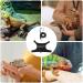 Buy Adjustable Lizard & Bearded Dragon Dishes Leashes Outdoor Pet Vests & Anti-Loss Gear International Shipping Available - Buy Online on SooperMarket.com