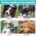Dog Muzzle for Large Breed Adjustable Dogs Muzzles for Xl Bully Breathable Basket Muzzle with Reflective Strip to Prevent Biting Barking Chewing (X-Large) XLarge - Buy Online on SooperMarket.com