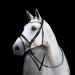 St bben Bridle 2810 Switch Magic Tack - Black Varnish Warmblood with Curved Noseband | International Shipping - Buy Online on SooperMarket.com