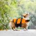 Dog Life Jacket Adjustable Dog Life Jacket Vest Reflective Orange Pet Swimming Jacket Swimwear for Middle and Small Dogs Protection Swimsuit with Rescue Handle High Buoyancy Safety Swimsuit (XS) - Buy Online on SooperMarket.com