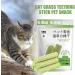 Berdexa Cat Grass Teething Sticks Verdexa Cat Grass Teething Sticks for Indoor Cats Cat Grass Chew Stick Cat Chew Stick Natural Molar Rod Increase Appetite (1Bucket) - Buy Online on SooperMarket.com
