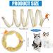 2pcs Folded Cat Tunnel Spring 10in Large Size Portable Cat Toy Spiral Tunnel with Synthetic Feather and Toy Mouse Tunnel Spring Outdoor Puppy Kitten Generic (Striped yellow Purple) - Buy Online on SooperMarket.com