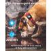 4 Pack Airtag Case Waterproof | OneOnta Airtag Dog Collar | Durable Apple Airtag Holder for Dogs & Cats (2.5cm Width) - Shop Now! - Buy Online on SooperMarket.com