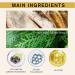 Rice Raw Pulp Face Cream Anti Aging Face Cream Face Moisturiser Brightening Face Cream Skin Tightening Cream for Face Anti Wrinkle High Firming & Deep Nourishing Smooth Elasticity - Buy Online on SooperMarket.com