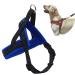 BPS Dog Harness Adjustable 4 Sizes to Choose From for Small and Medium Dogs S Blue