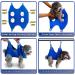 Buy Ovtexzog Dog Care Hammock Harness - Nail Claw Cutting Tool for Small Dogs (Up to 6kg) - Blue - International Shipping Available - Buy Online on SooperMarket.com