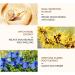 Snail Mucin Moisturiser Snail Mucin Cream Snail Mucin Moisturiser Face Women & Men Anti Aging Face Cream Face Moisturiser for Dry Skin Day & Night Face Cream with Lifting & Anti Wrinkle - Buy Online on SooperMarket.com
