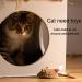 2 Pack Interactive Cat Toys - Feather Squeaky Bird & Mouse Kitten Plush Toys - Motion Activated Melody Chaser - Ideal for Indoor Cats - Three Dogs & A Cat - Buy Online on SooperMarket.com