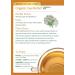 Organic Gas Relief Tea | Traditional Medicinals | Caffeine-Free | 16 Wrapped Bags - Buy Online on SooperMarket.com