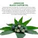 Jamaican Black Castor Oil 100% Pure Cold Pressed for Hair Growth - 60ml - Buy Online on SooperMarket.com
