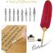 Victse Vintage Calligraphy Pencils & Retro Seal Dip Pen Set - 8 Replacement Tips & 5 Red Envelopes for Perfect Writing - Buy Online on SooperMarket.com