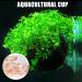 Delamiya 4-Piece Aquarium Plant Pots - Decorative Crystal Glass & Suction Cups for Lively Aquatic Displays - Buy Online on SooperMarket.com