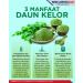 MORINGA TEA ORGANIC 50g | DRIED MORINGA LEAVES | loose tea theine-free Revitalizing herbal tea Great in Salads Juice cooking Or Soups - Daun Kelor Kering - Buy Online on SooperMarket.com